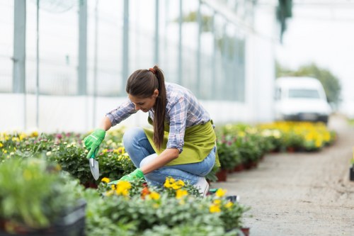 Eco-friendly lawn mowing equipment in use