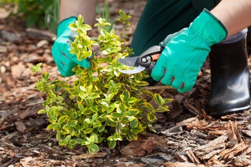 Professional landscaper planning a garden design in Victoria