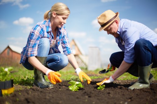 Gardener reviewing insurance documents and site plan