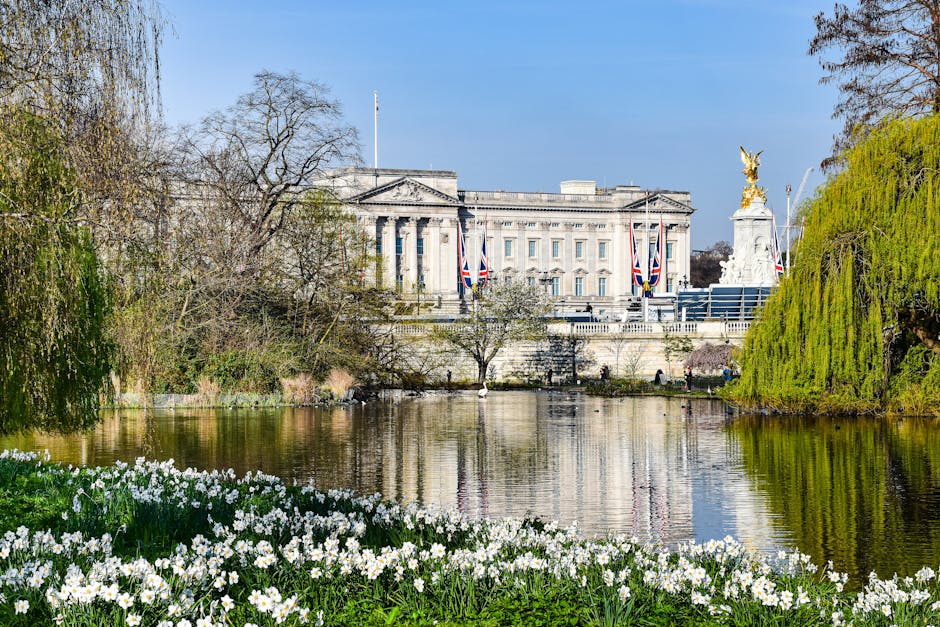 A panoramic view of Buckingham Palace with the Victoria Memorial prominently positioned in front. The foreground features a wide paved walkway lined on both sides with large, mature trees casting shad