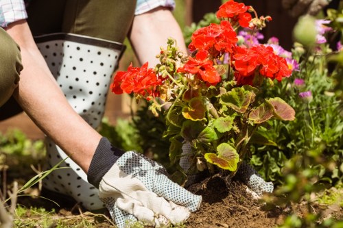 Urban rooftop garden managed by Gardeners Victoria members